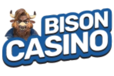 Najlepsze Nowe Kasyno: PlayBison 